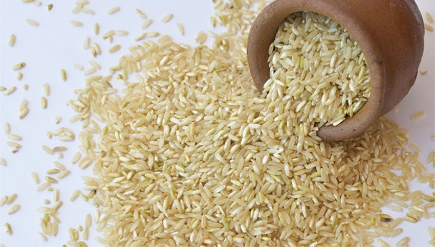 Villar: Two Rice Programs To Spur Phl Agri Growth, Help Farmers